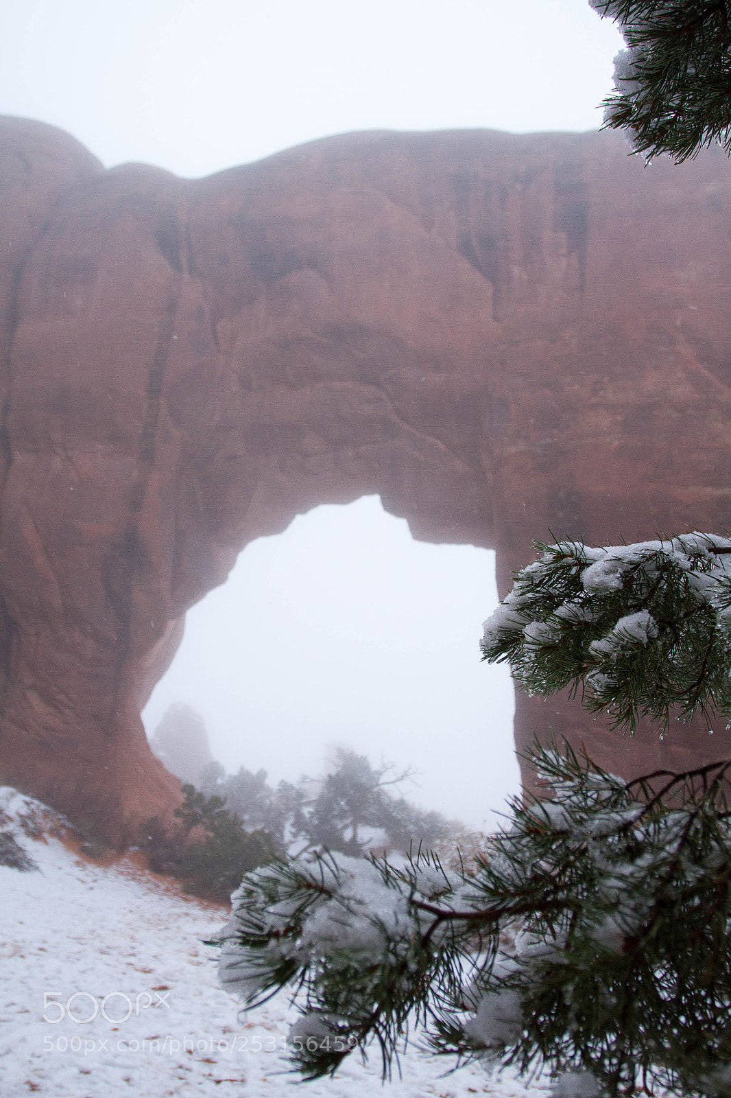 Canon EOS 7D sample photo. Arches national park photography