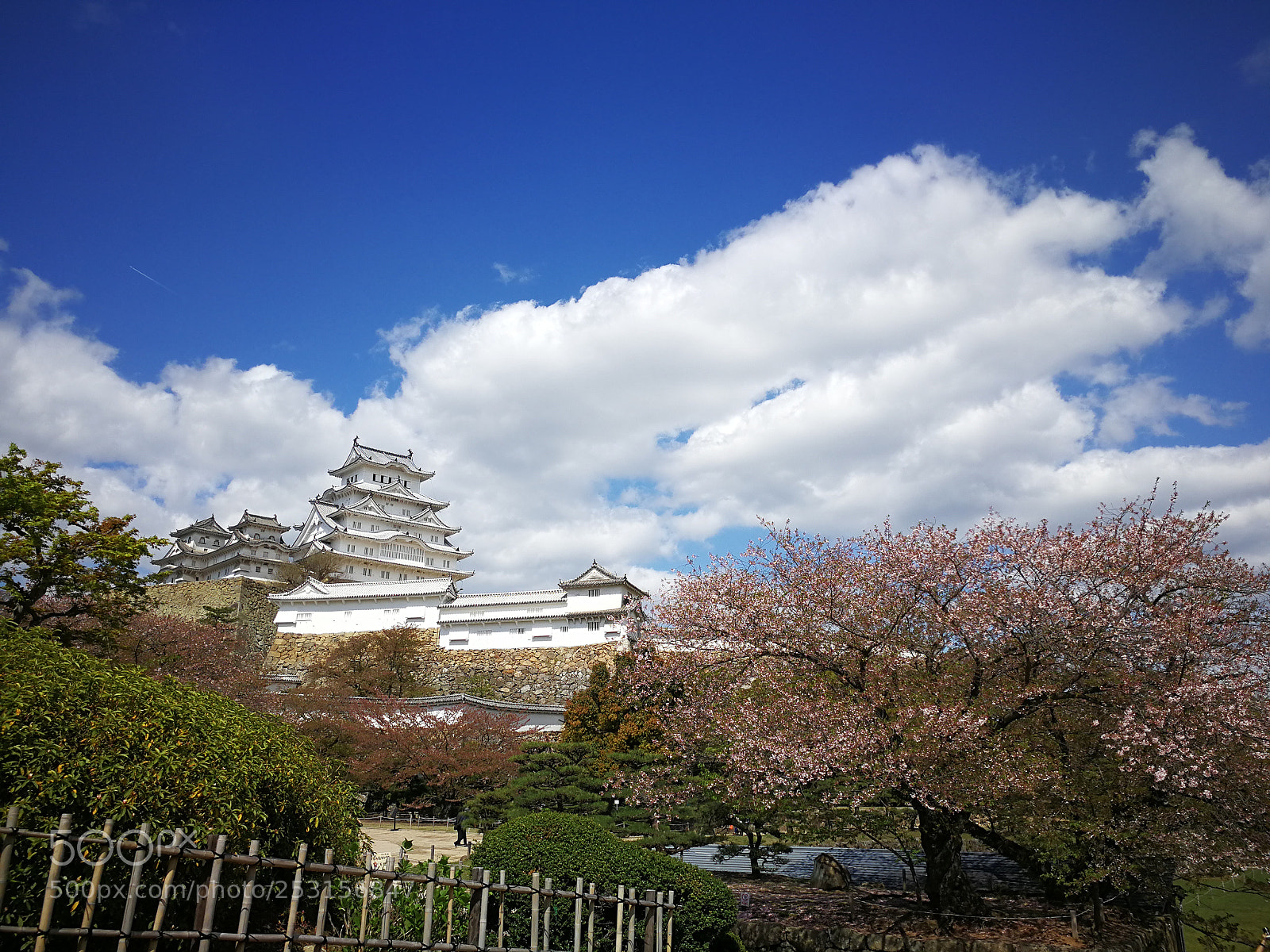 HUAWEI Mate 9 sample photo. Himeji castle, japan photography