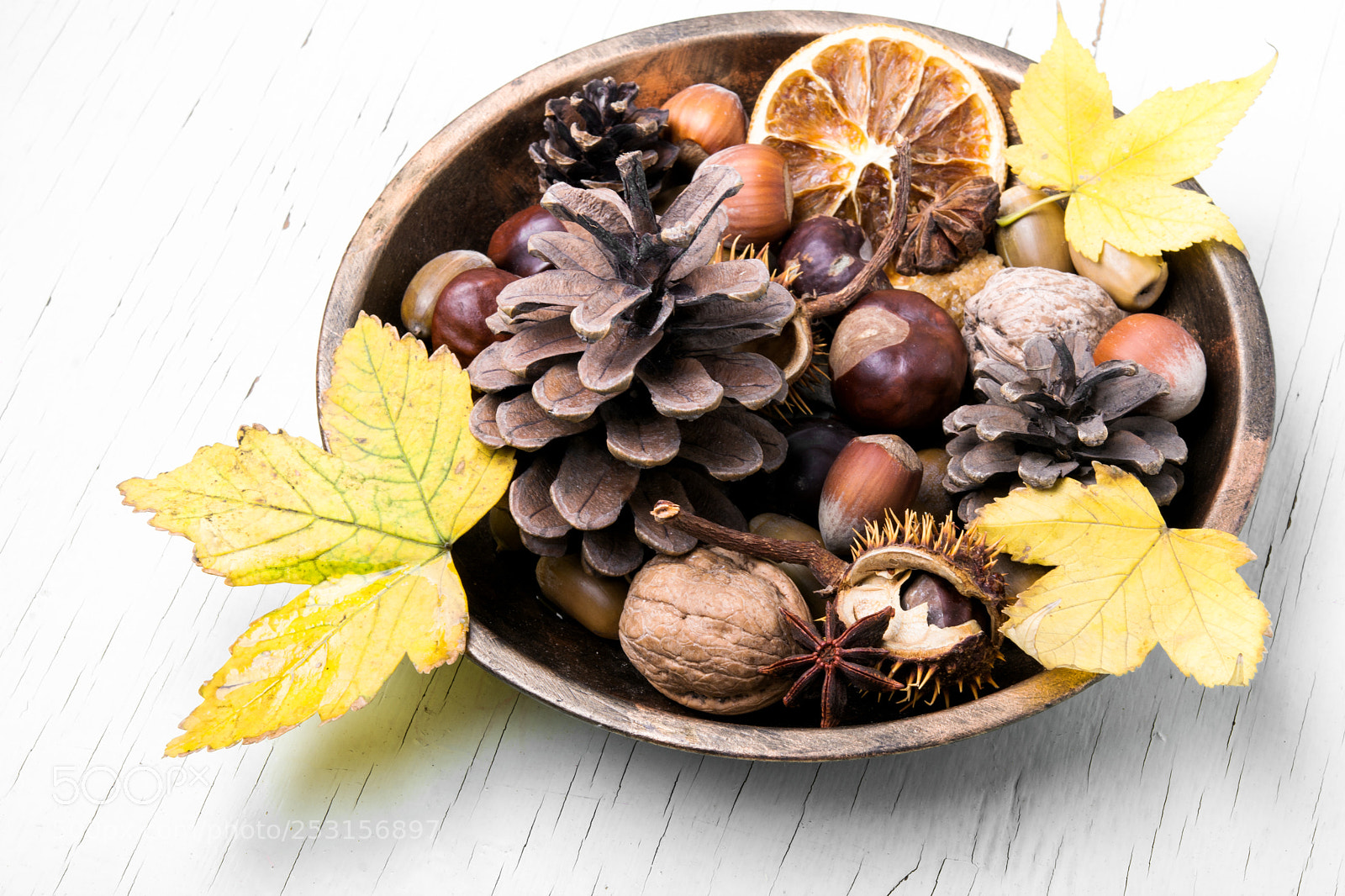 Nikon D7100 sample photo. Symbolic autumn ikebana photography