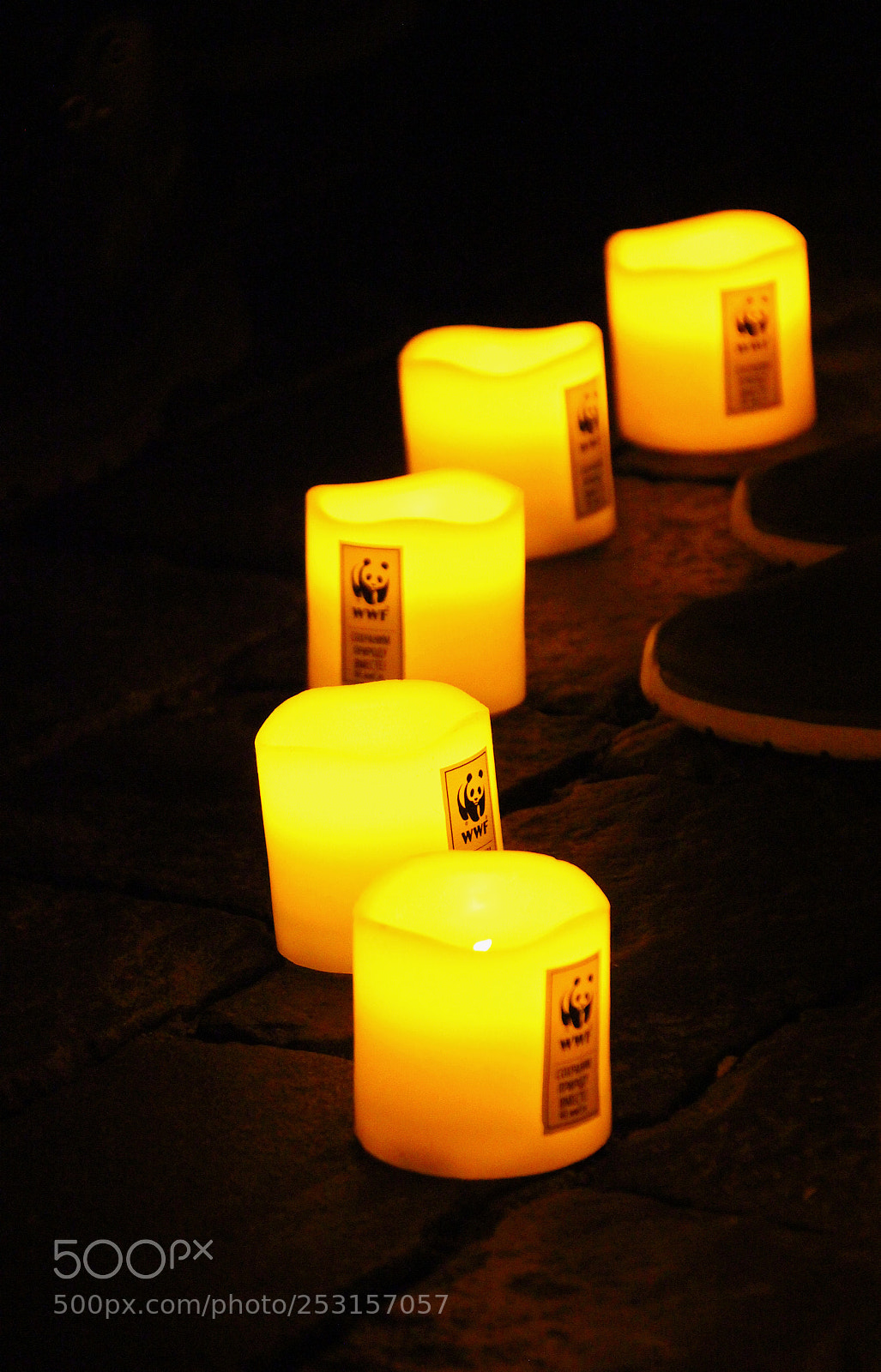 Canon EOS 550D (EOS Rebel T2i / EOS Kiss X4) sample photo. Wwf photography