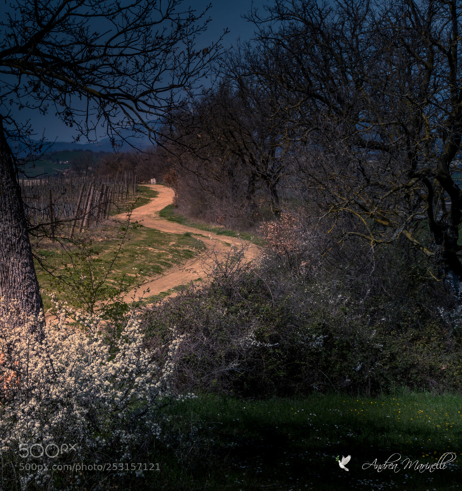 Sony Cyber-shot DSC-RX100 III sample photo. Country path photography