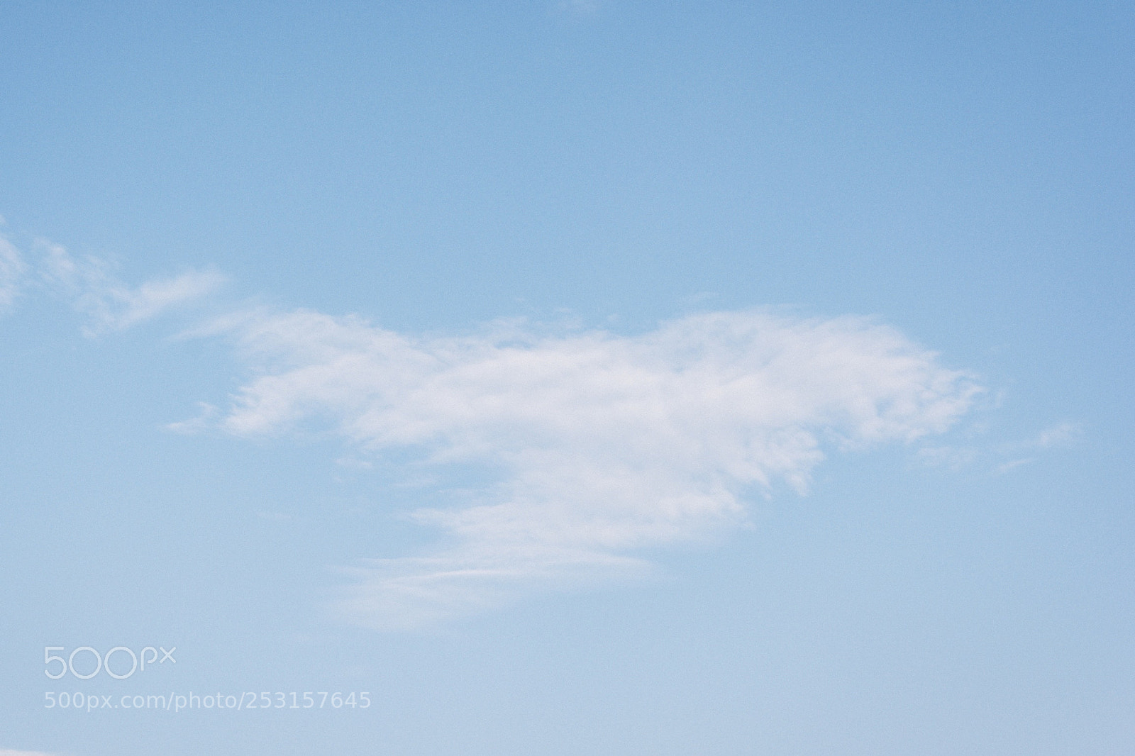 Nikon D7100 sample photo. Untitled photography