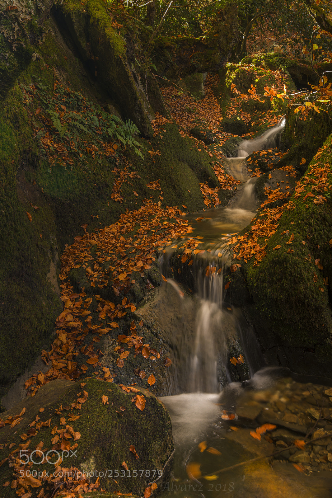 Nikon D7100 sample photo. Morning light photography