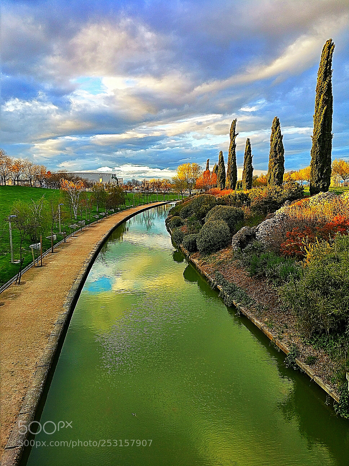 Xiaomi MI6 sample photo. Autumn? photography