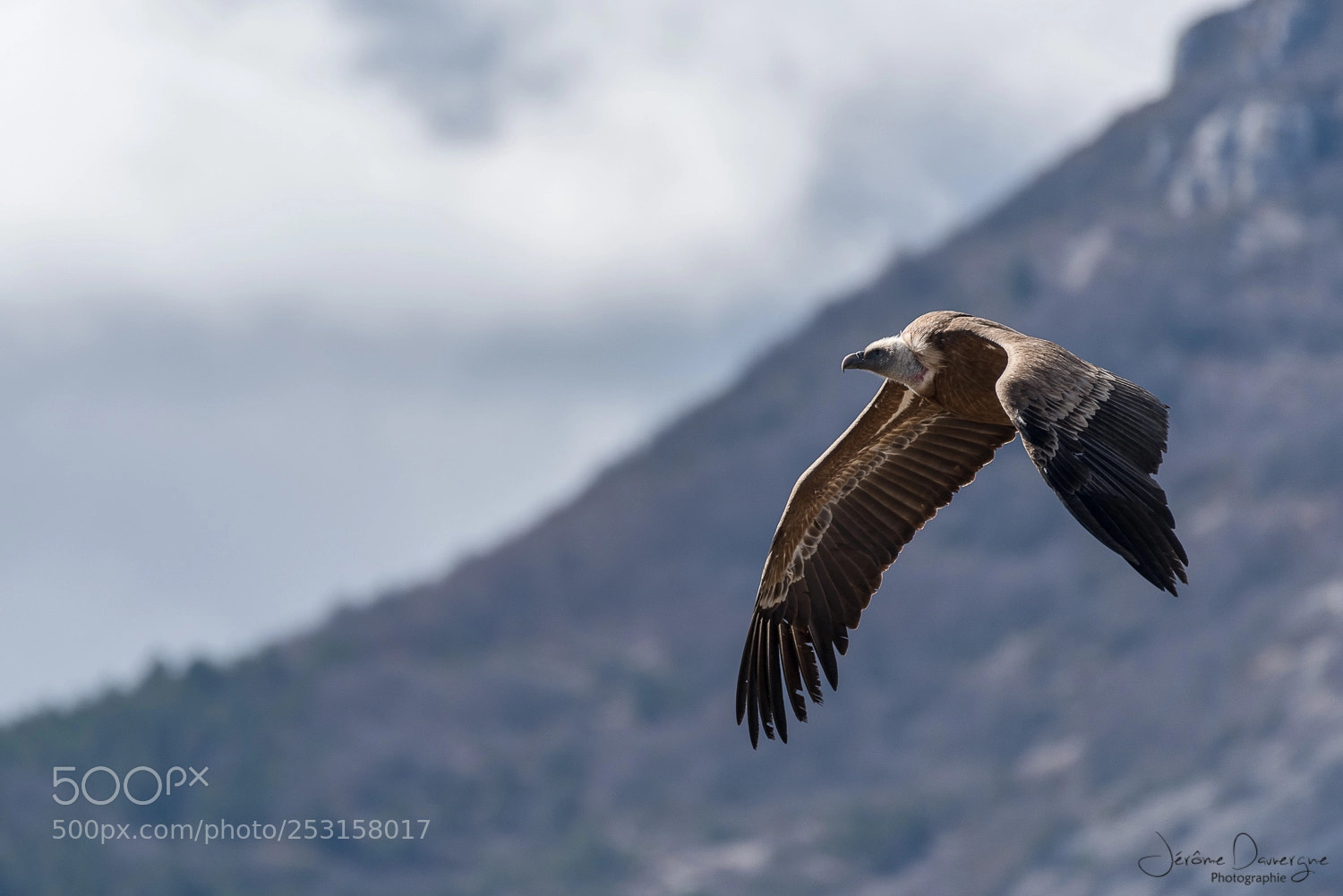 Nikon D810 sample photo. Envol photography