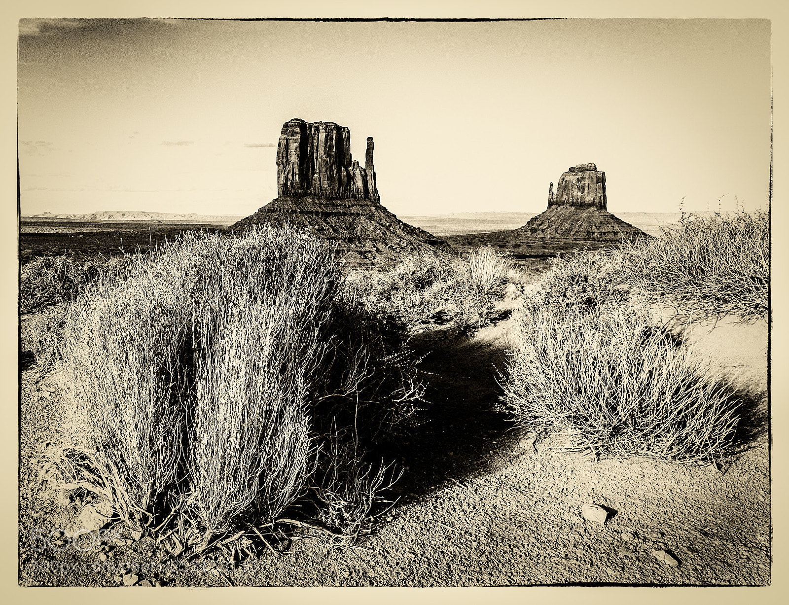 Nikon D5 sample photo. Monument valley photography