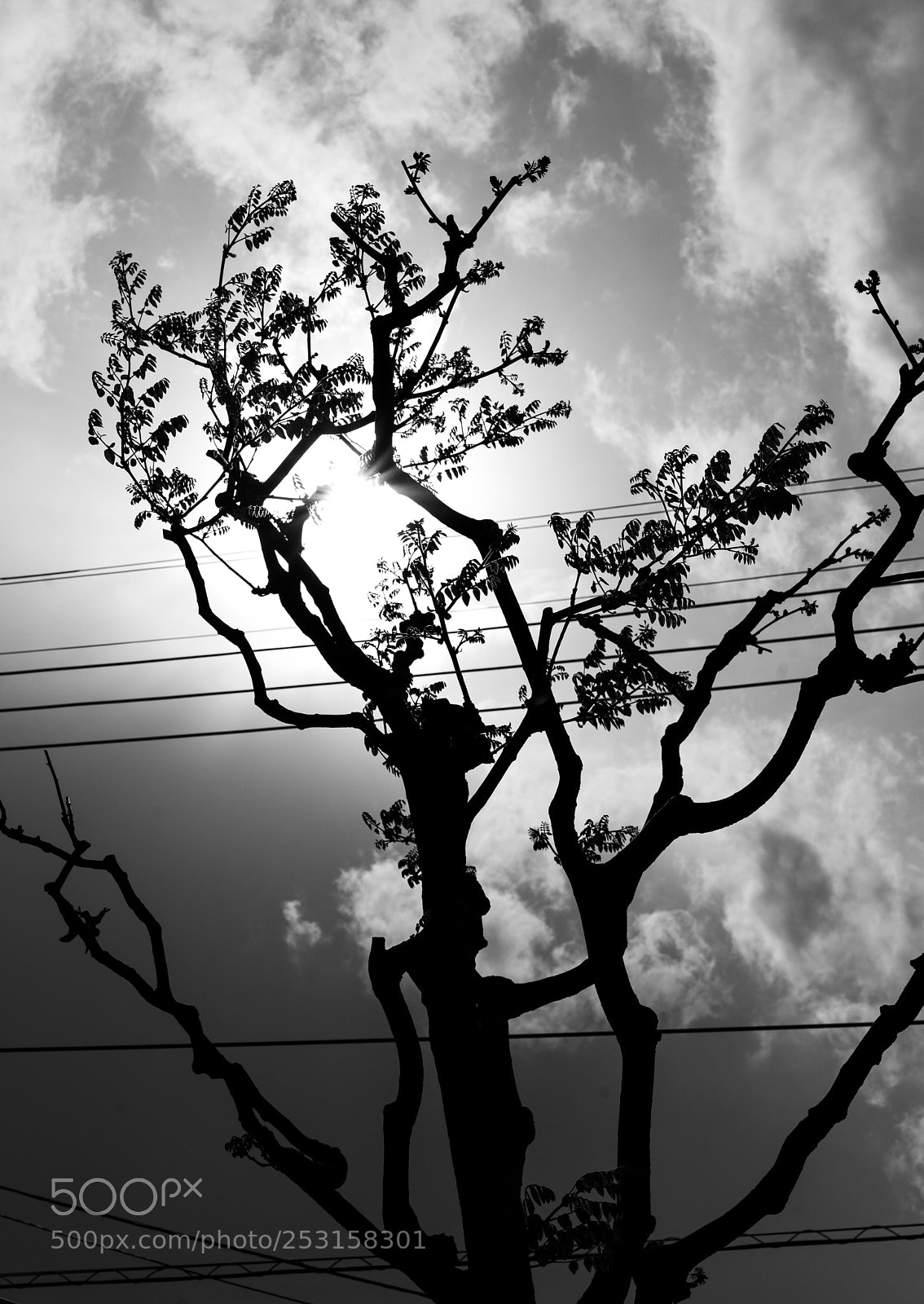 Sony a7 III sample photo. 曇天を貫く photography