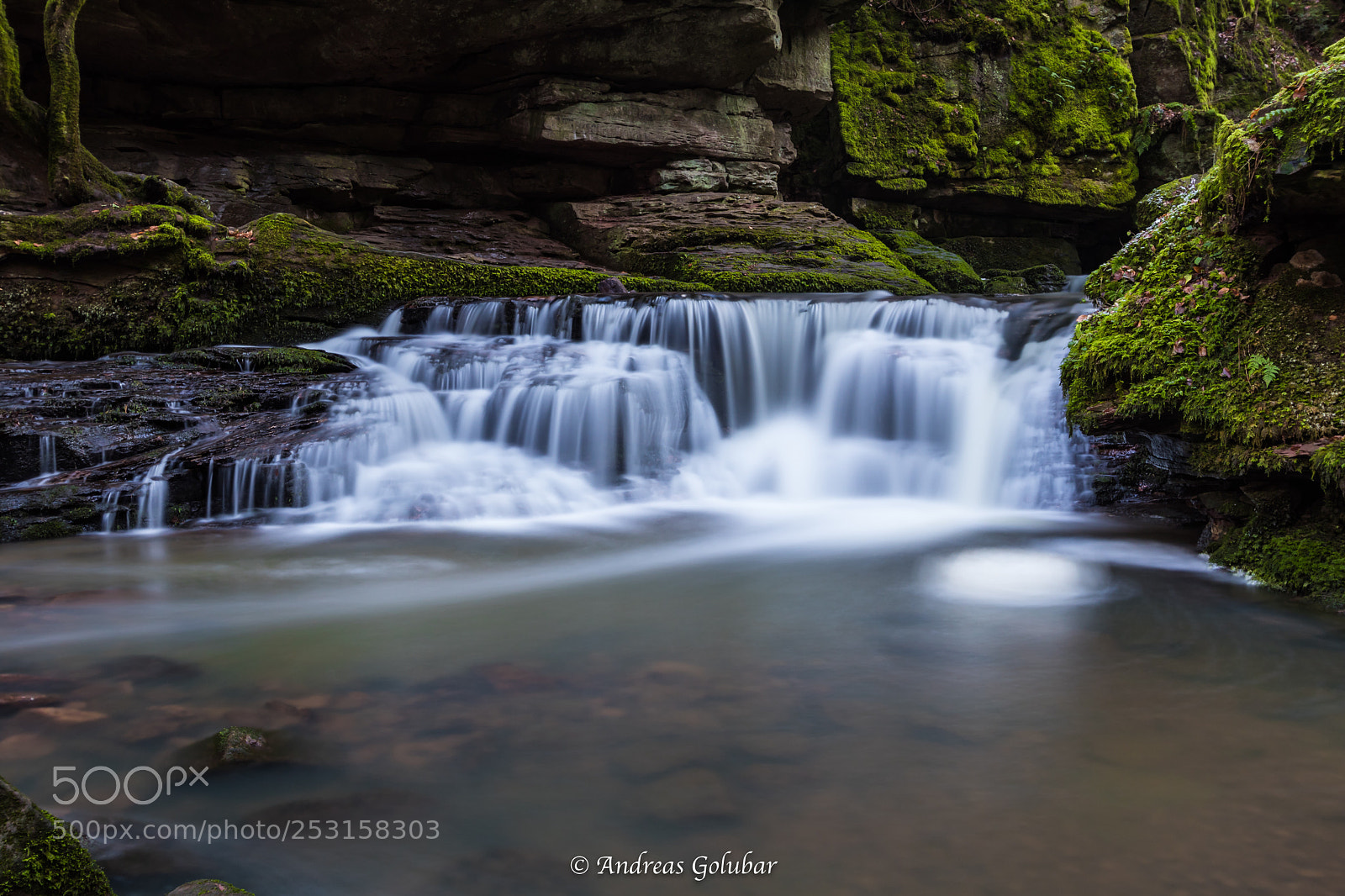 Canon EOS 80D sample photo. Monbachtalschlucht  photography