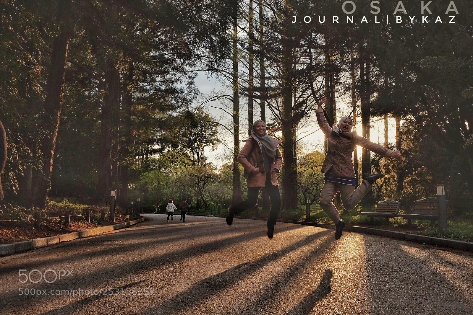 Fujifilm X-T1 sample photo. Botanical garden photography