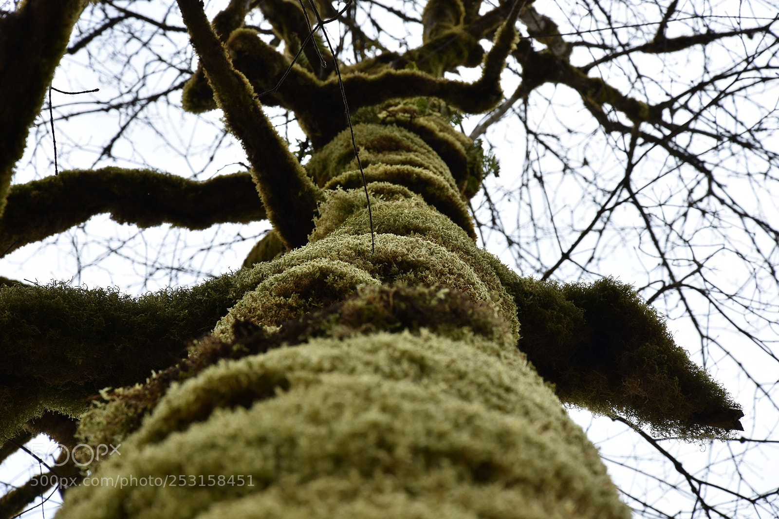 Nikon D7200 sample photo. Untitled photography