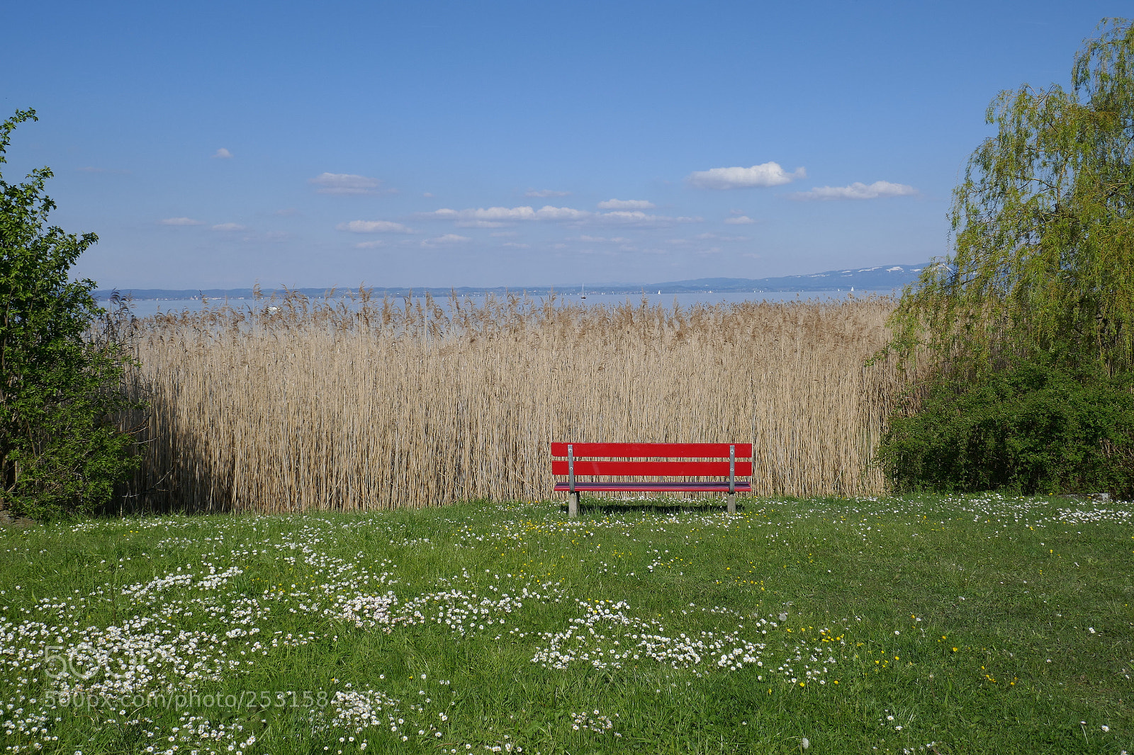 Panasonic DMC-TZ101 sample photo. Red bench photography