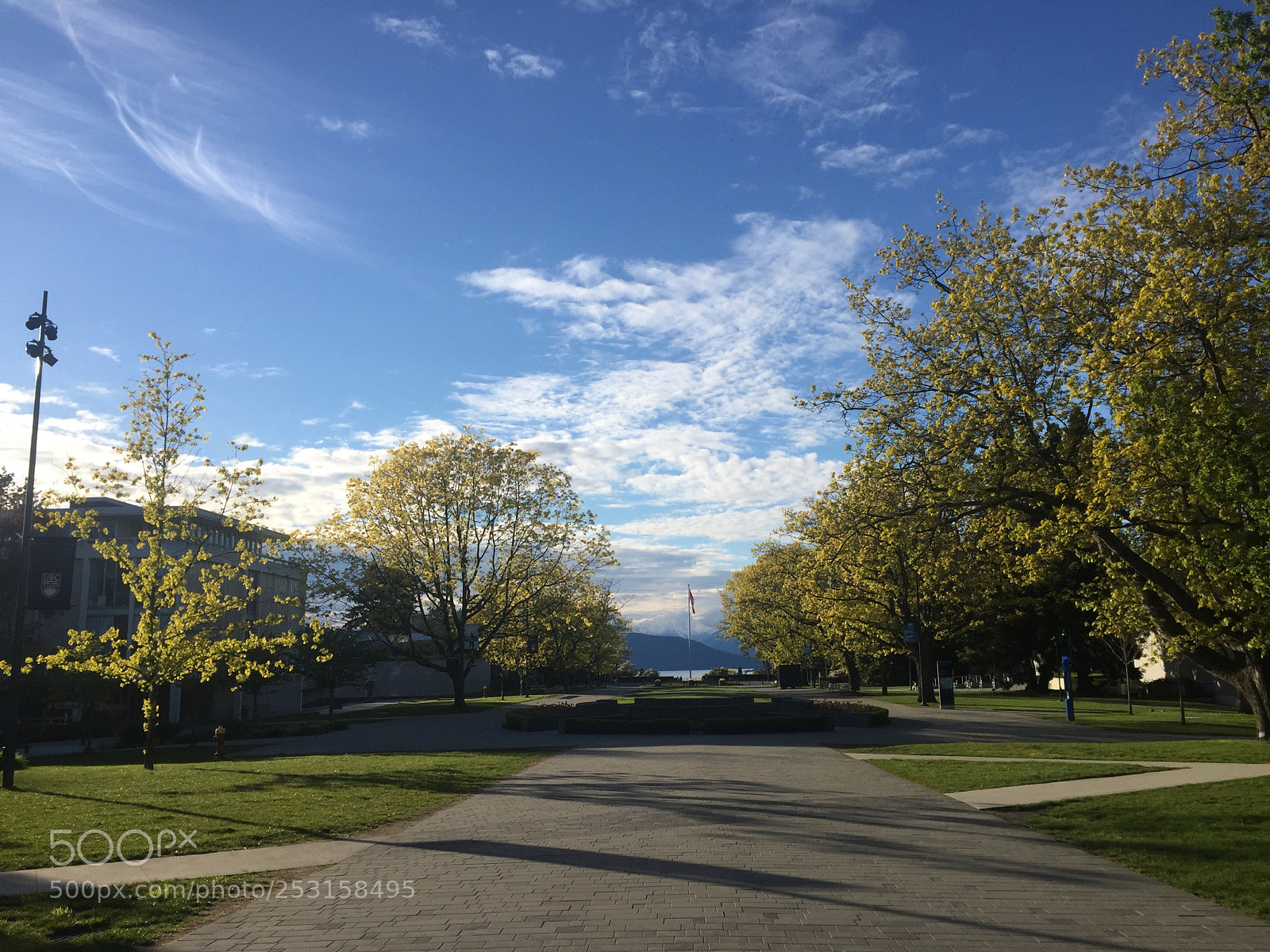 Apple iPhone 6 sample photo. Ubc-main mall photography