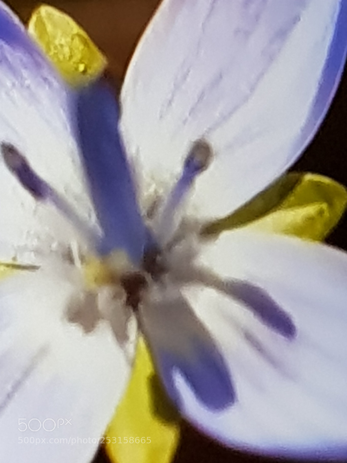 Samsung Galaxy S8 sample photo. Untitled photography