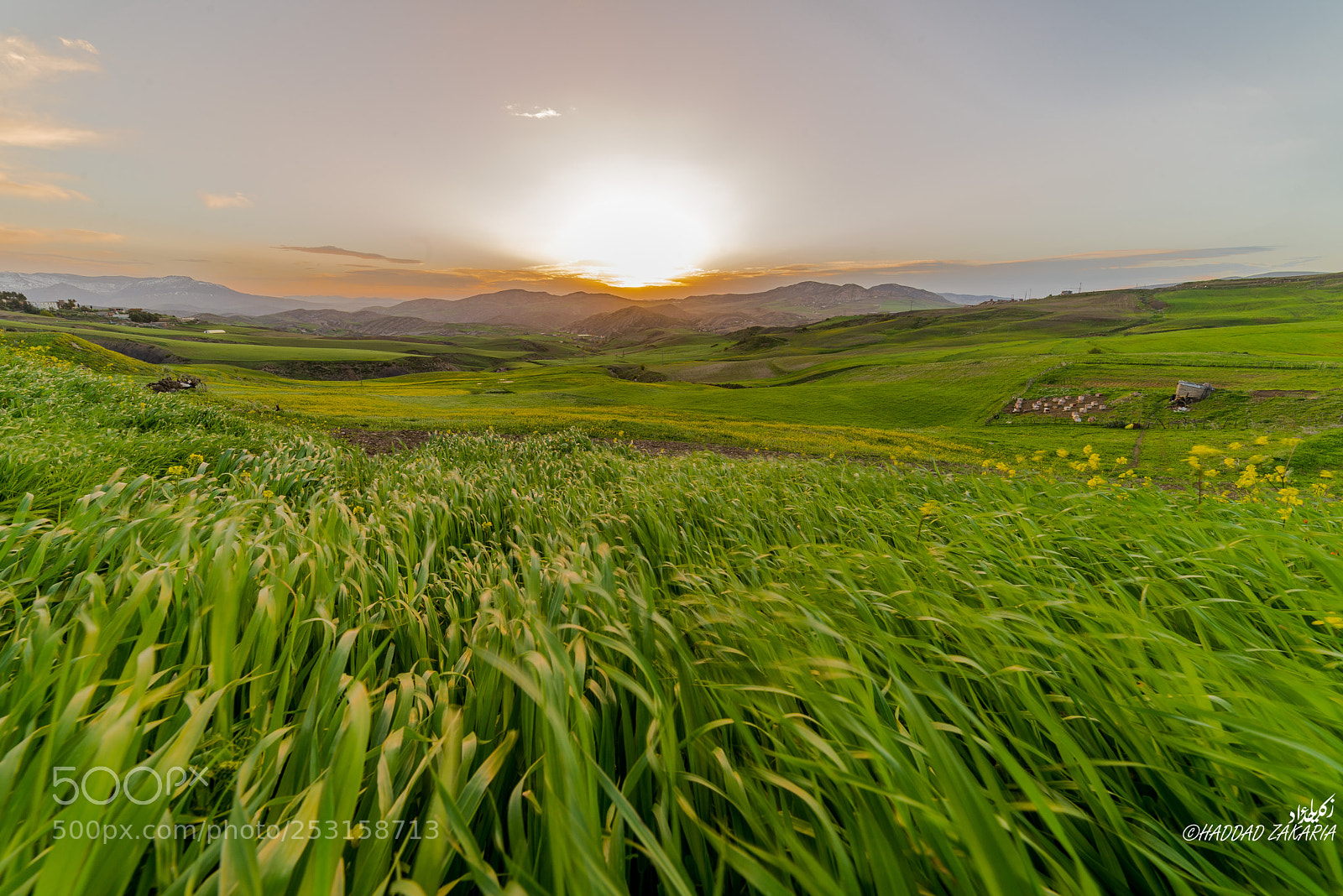 Nikon D610 sample photo. Spring sunrise photography
