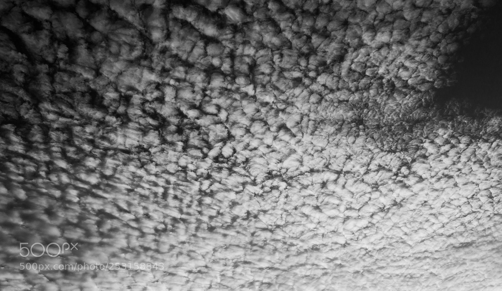 Canon EOS 1200D (EOS Rebel T5 / EOS Kiss X70 / EOS Hi) sample photo. Cirrocumulus clouds photography