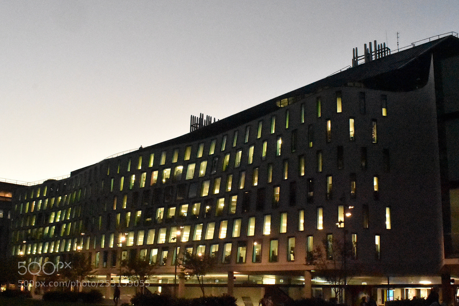 Nikon D3400 sample photo. Campus at dusk photography