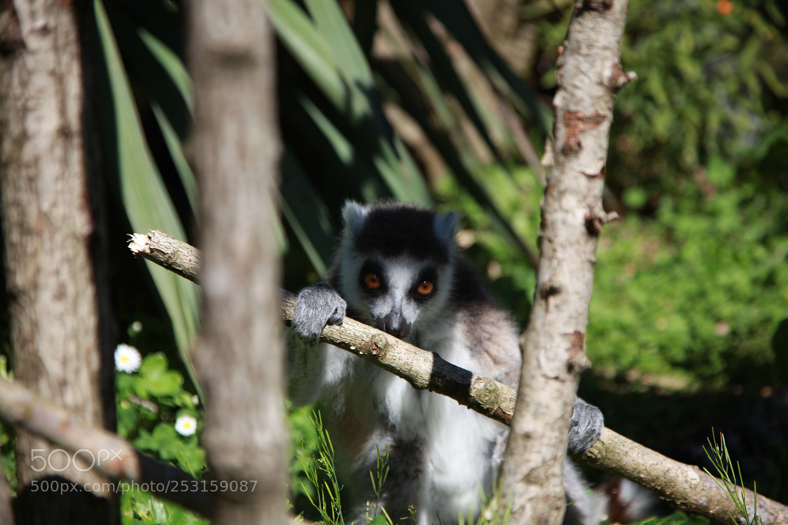 Canon EOS 5D Mark II sample photo. Untitled photography
