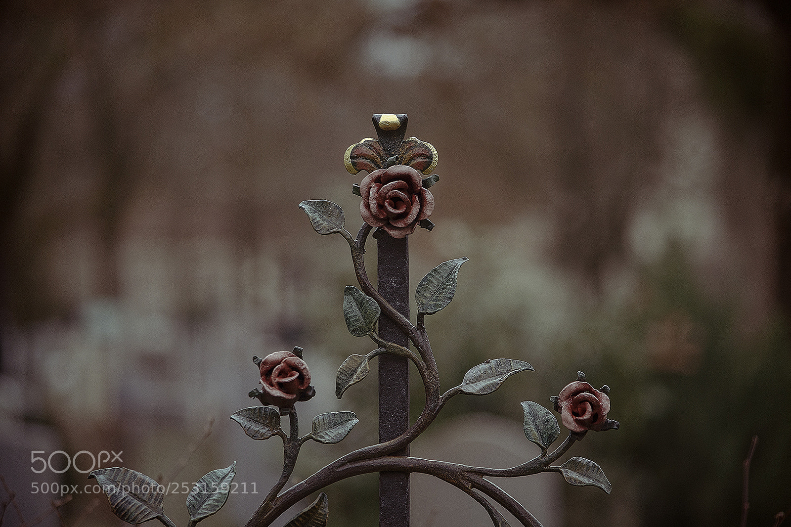 Nikon D7000 sample photo. Westfriedhof photography