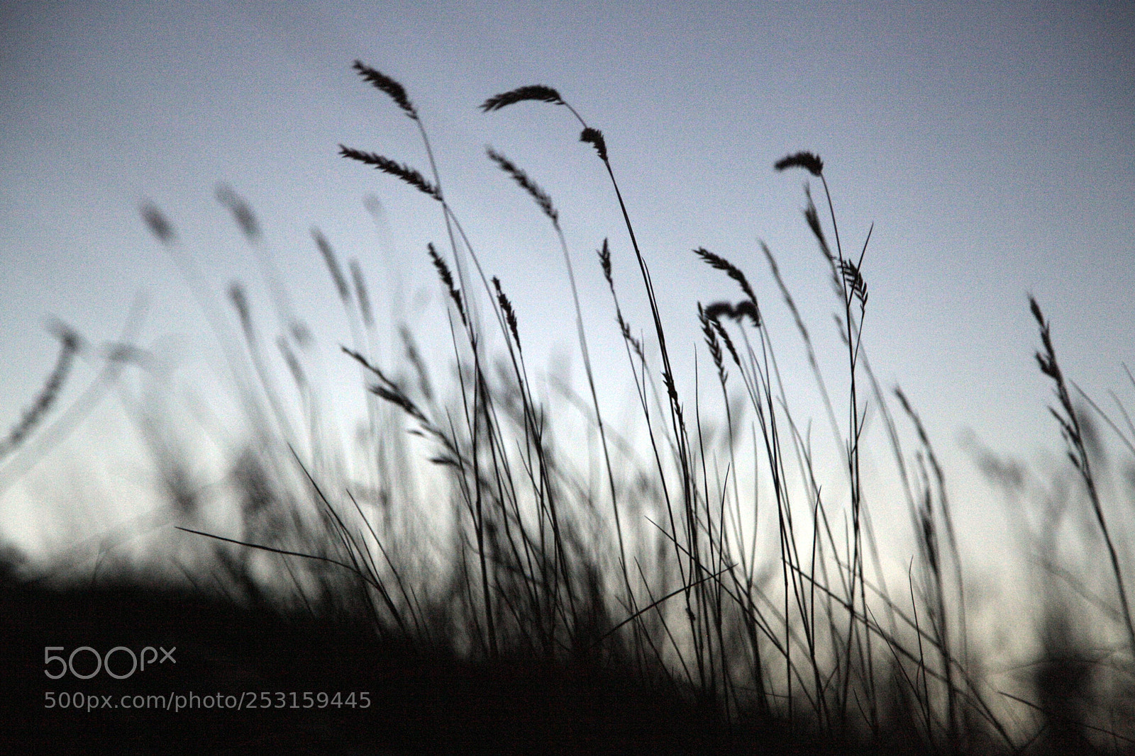 Canon EOS 5D Mark II sample photo. Into the sunset 2 photography