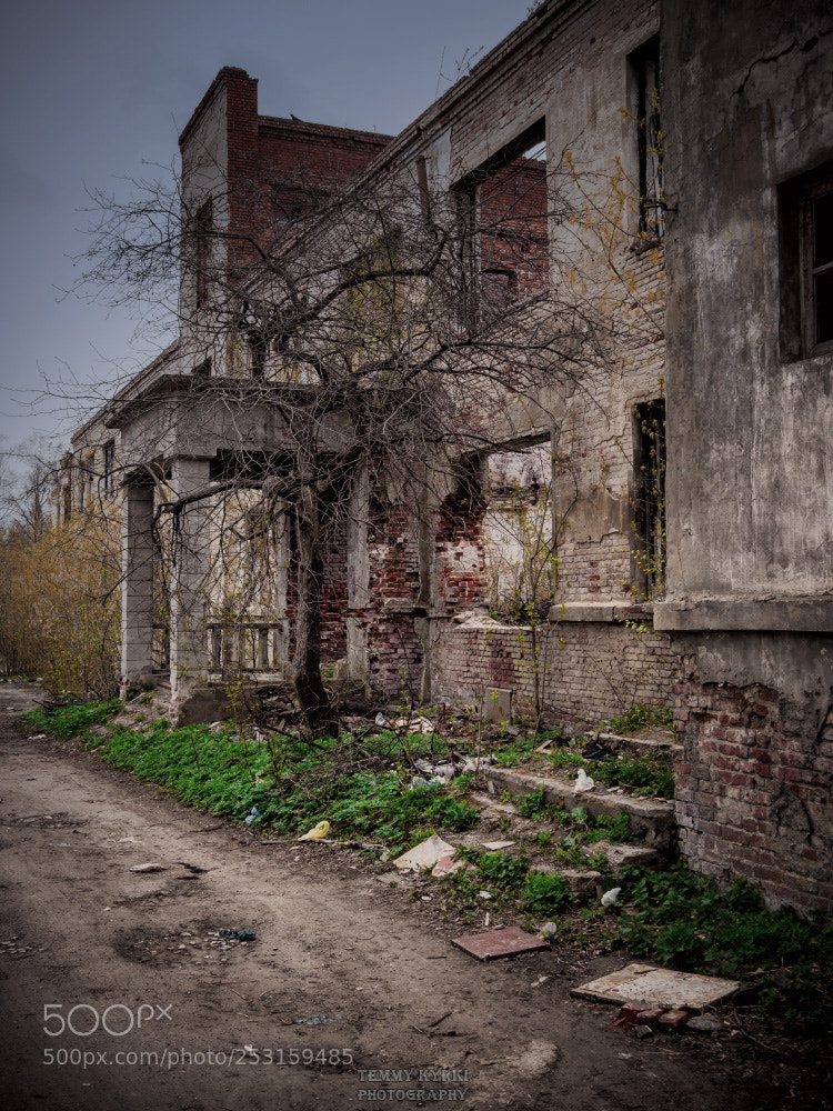 Olympus OM-D E-M5 sample photo. Abandoned hospital photography