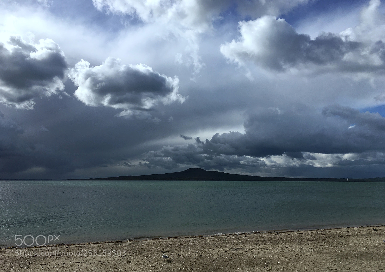 Apple iPhone SE sample photo. Calm after the storm,rangitoto photography
