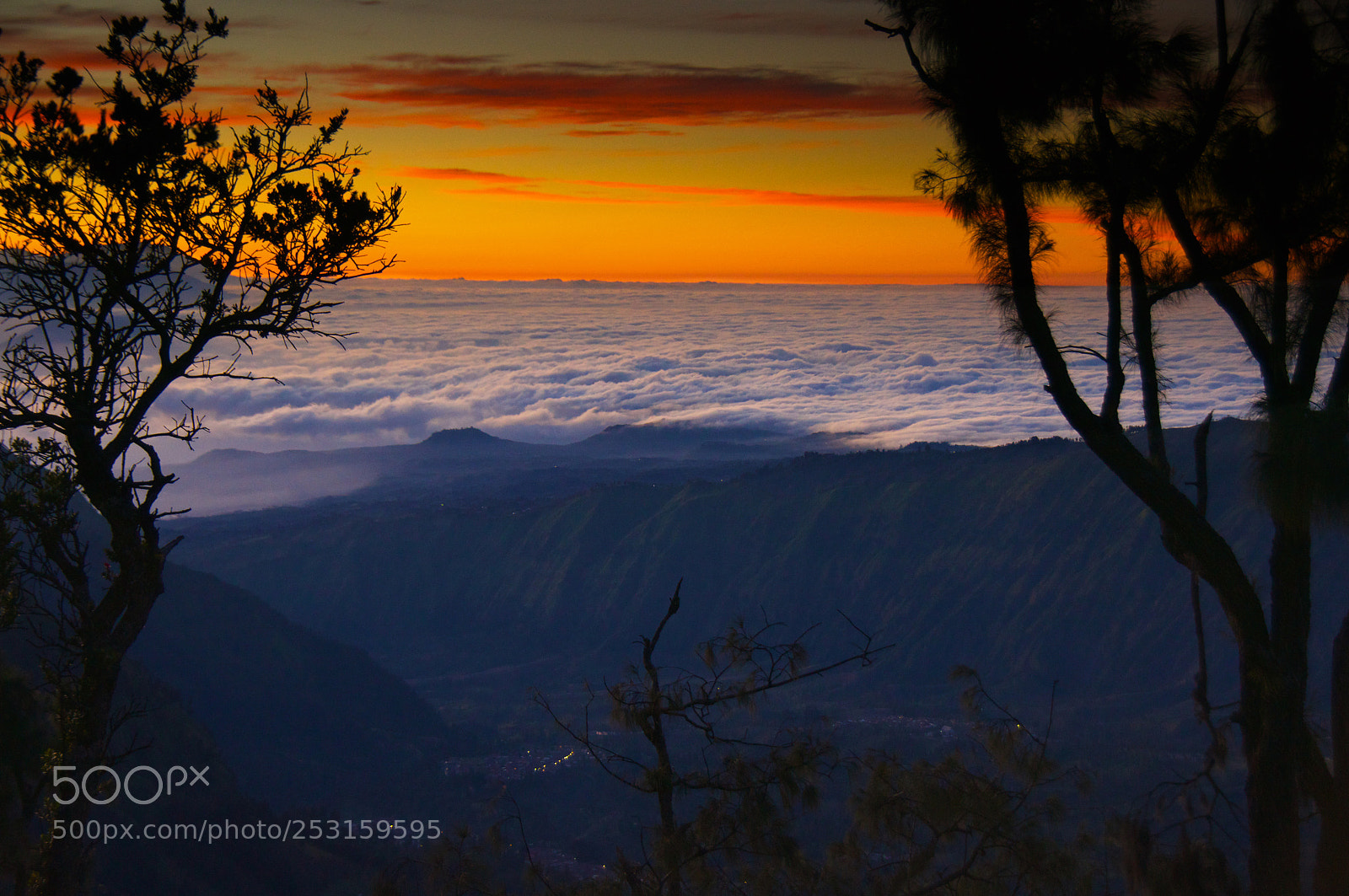 Sony Alpha DSLR-A580 sample photo. Sea of clouds at photography