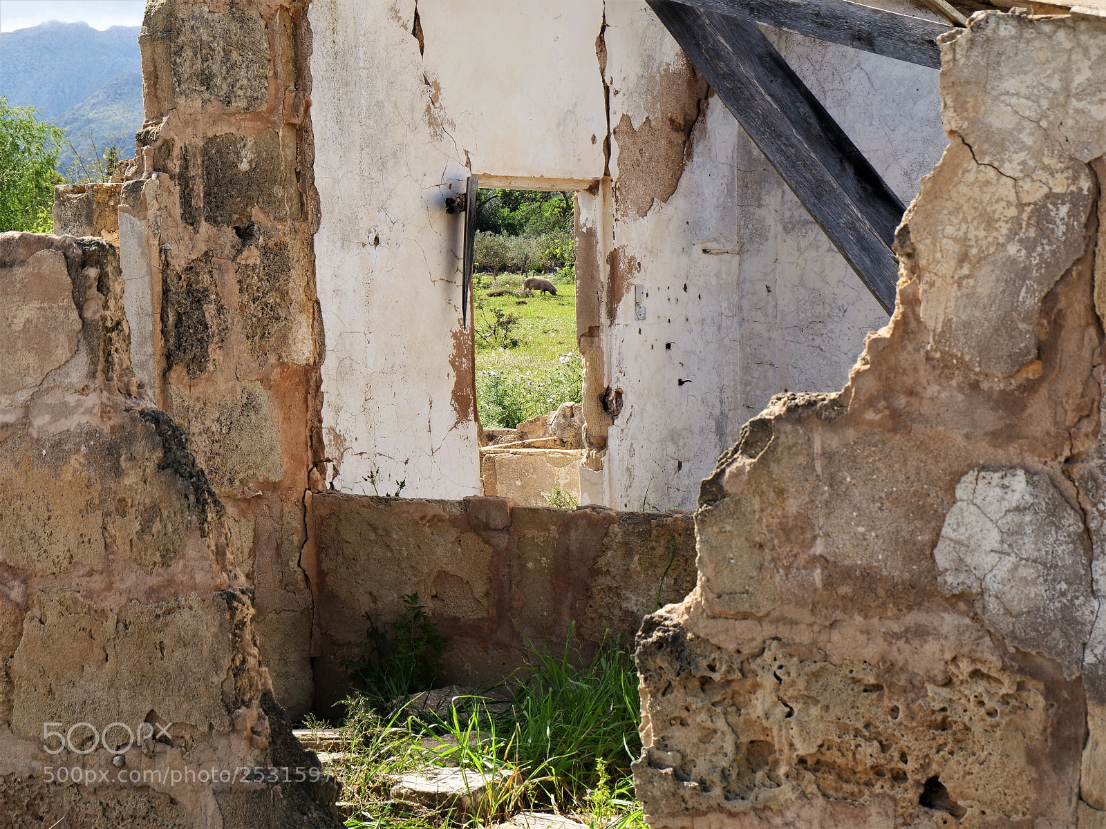 Panasonic Lumix DC-GH5 sample photo. Windows of mallorca! photography