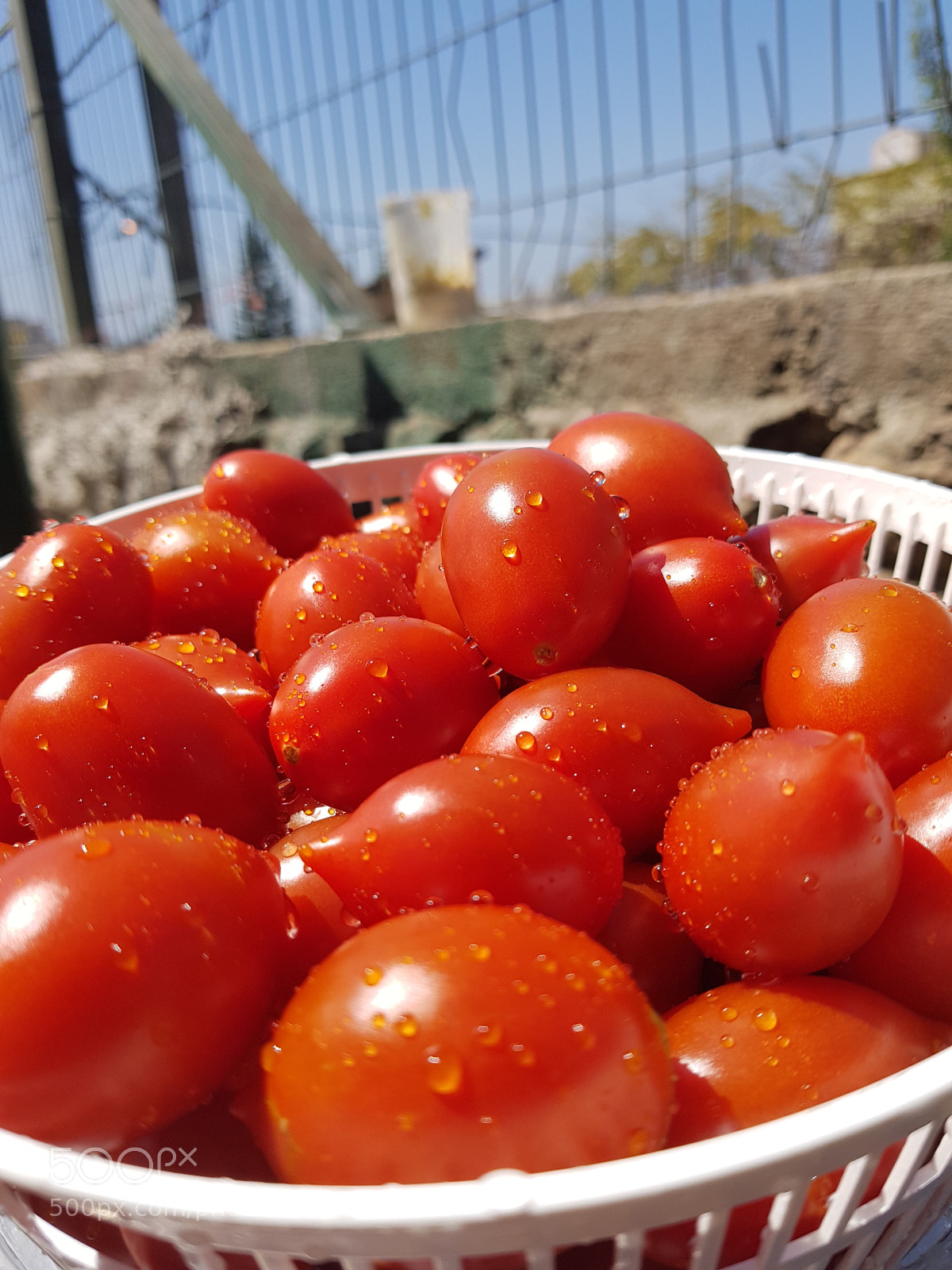 Samsung Galaxy S8+ sample photo. Untitled photography