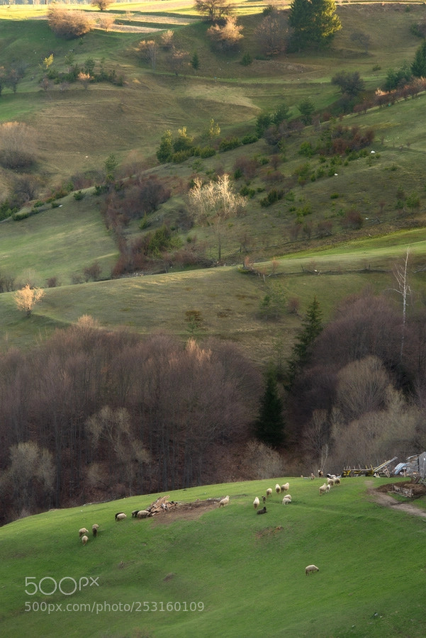 Nikon D600 sample photo. Somewhere in bulgaria photography