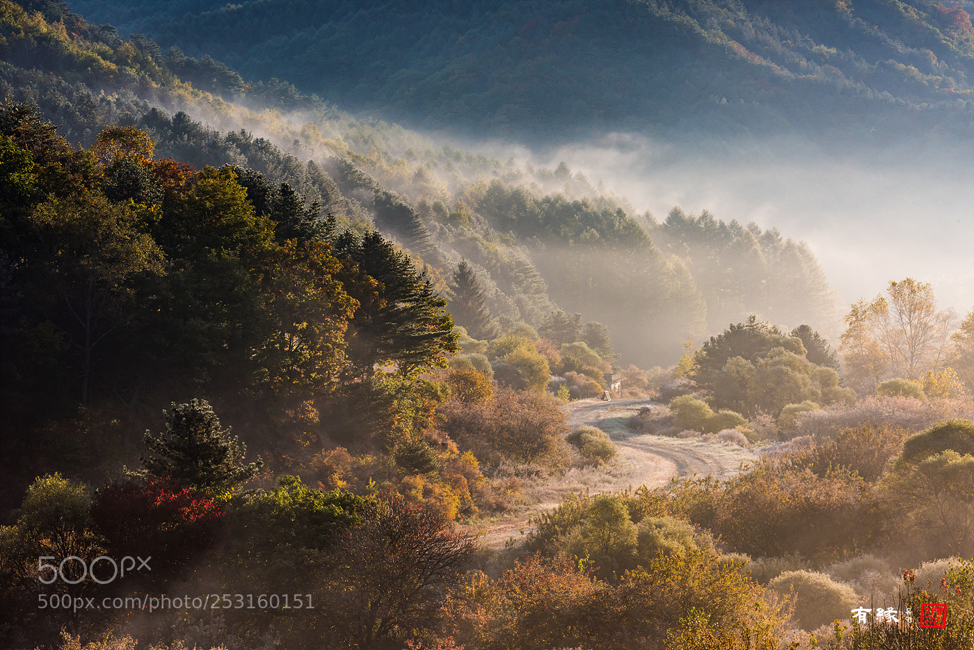 Nikon D810 sample photo. . photography