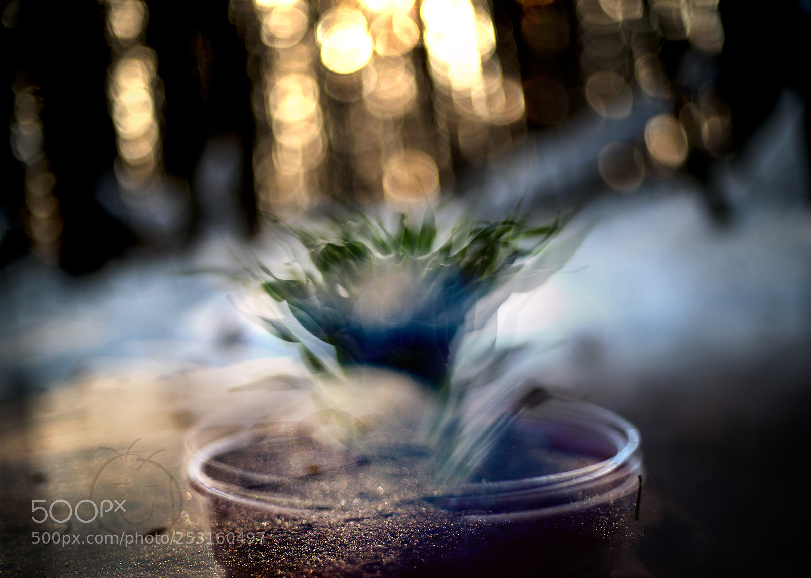 Nikon D800 sample photo. Memory of the future photography
