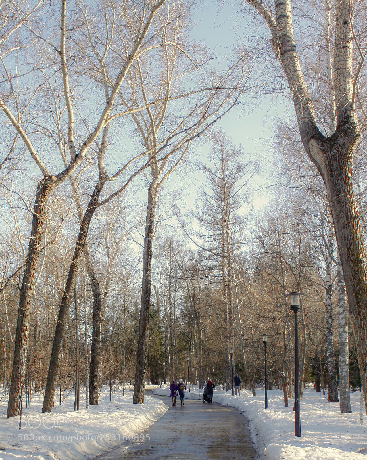 Canon EOS 50D sample photo. Untitled photography