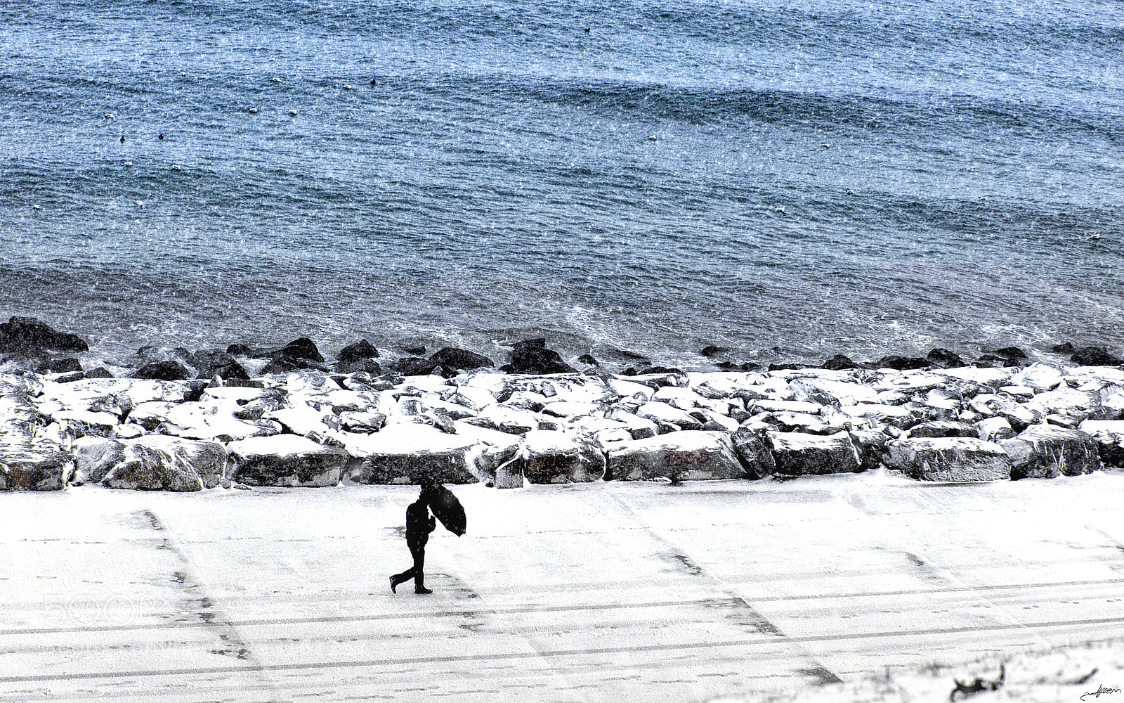 Nikon D700 sample photo. Frosty photography
