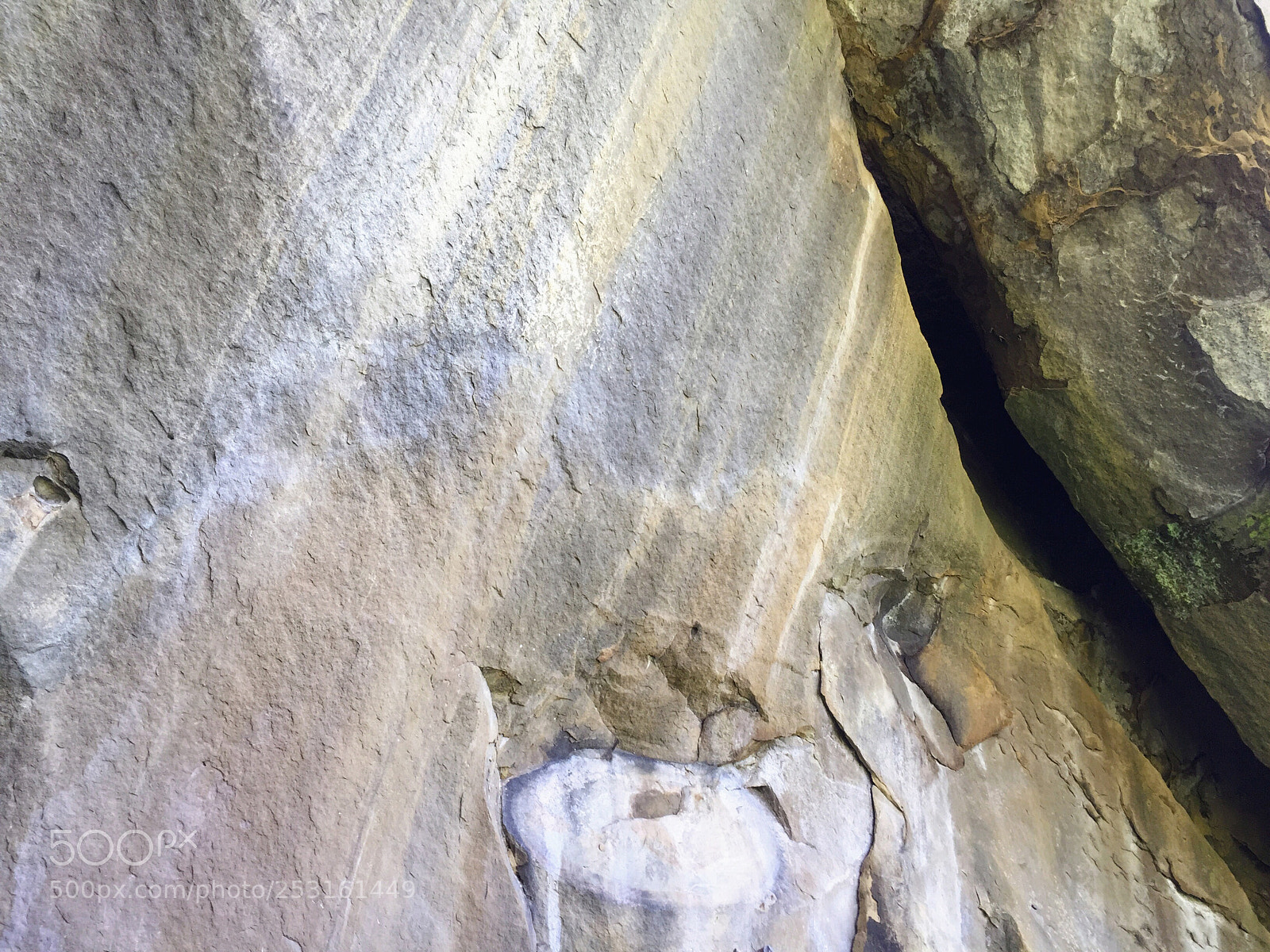 Apple iPhone 6 sample photo. Untitled photography