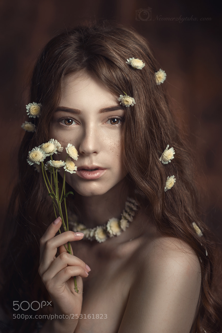 Nikon D610 sample photo. Floral photography