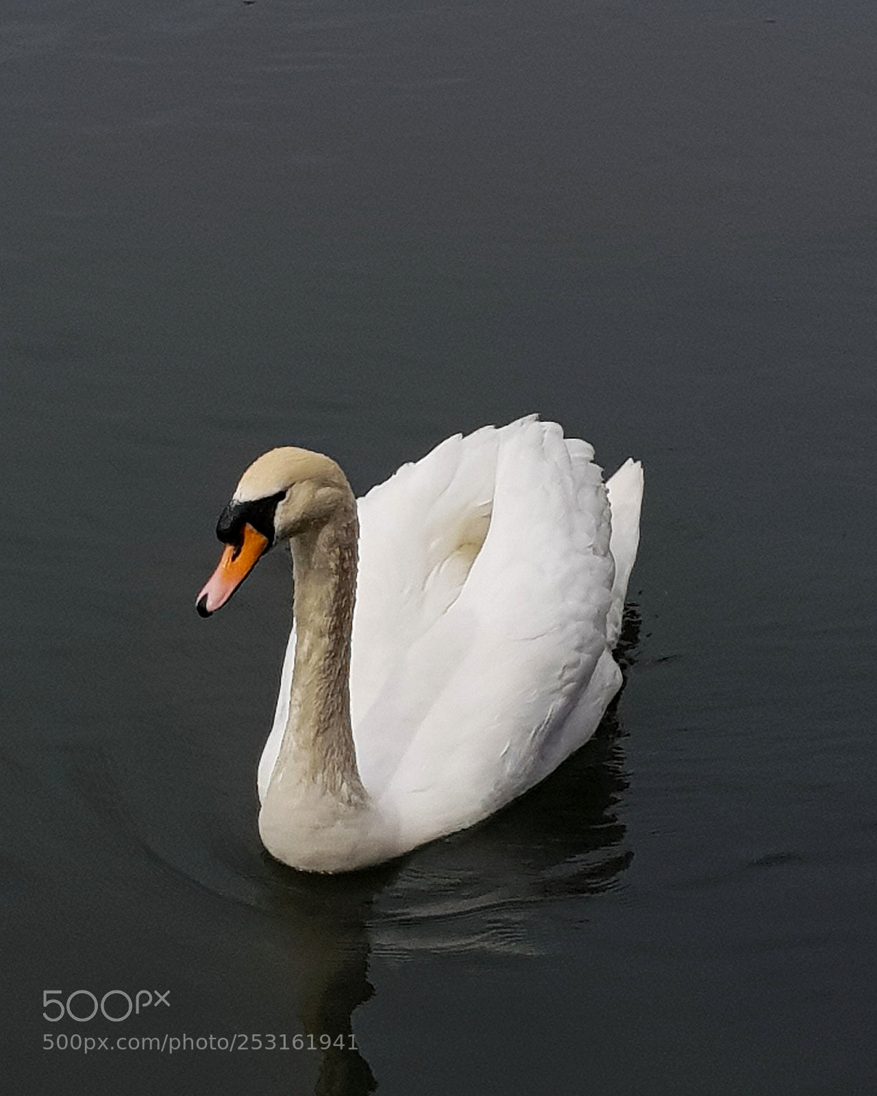 Samsung Galaxy S8+ sample photo. Pensive photography