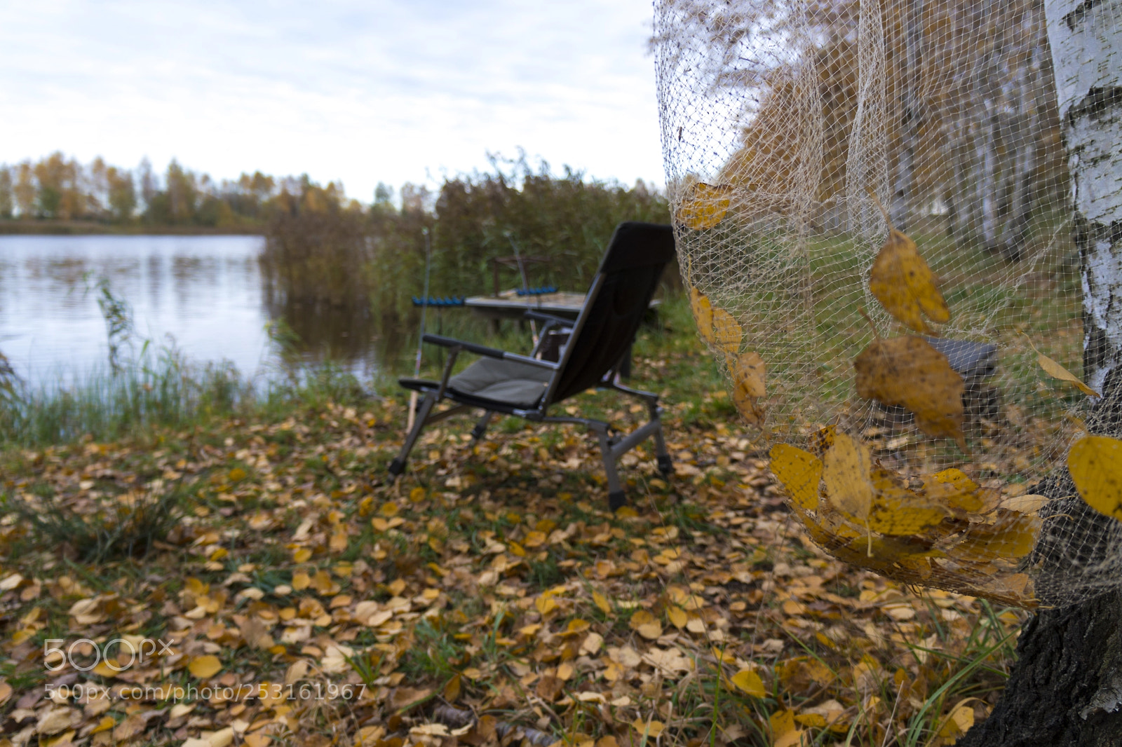 Sony a6500 sample photo. РЫБАЛКА photography