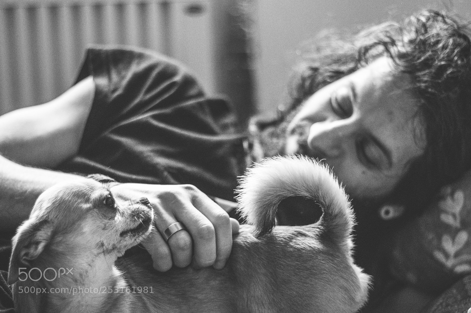 Canon EOS 77D (EOS 9000D / EOS 770D) sample photo. Animal love photography
