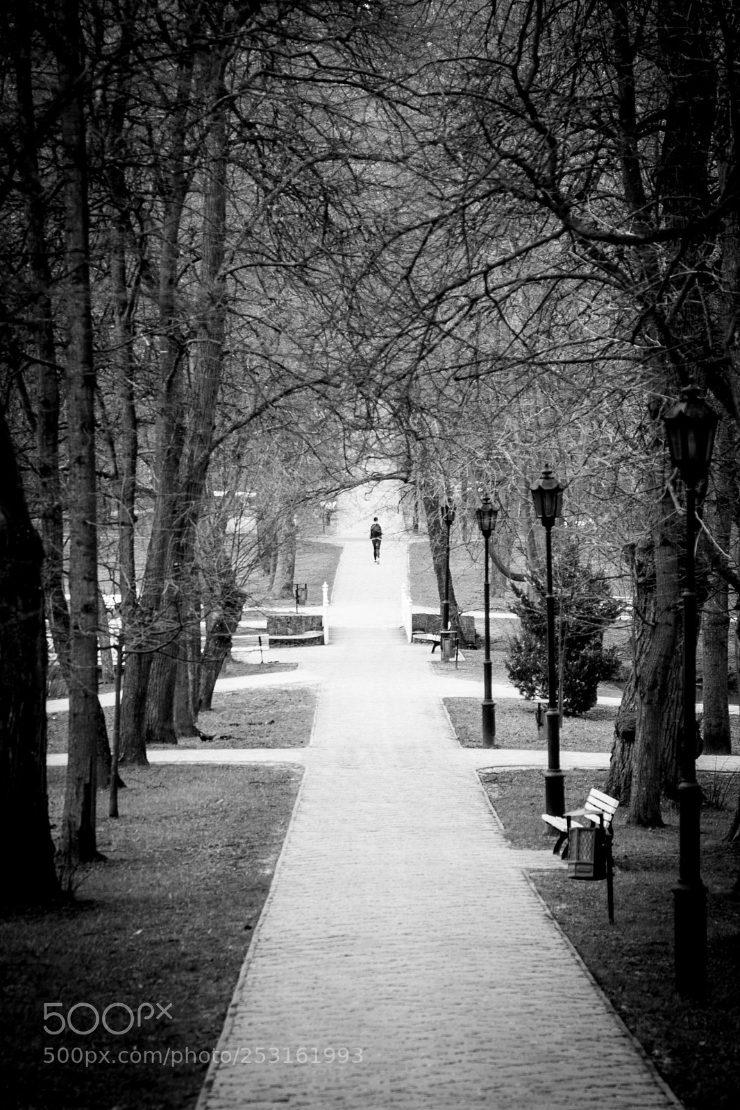 Canon EOS 5D sample photo. Untitled photography