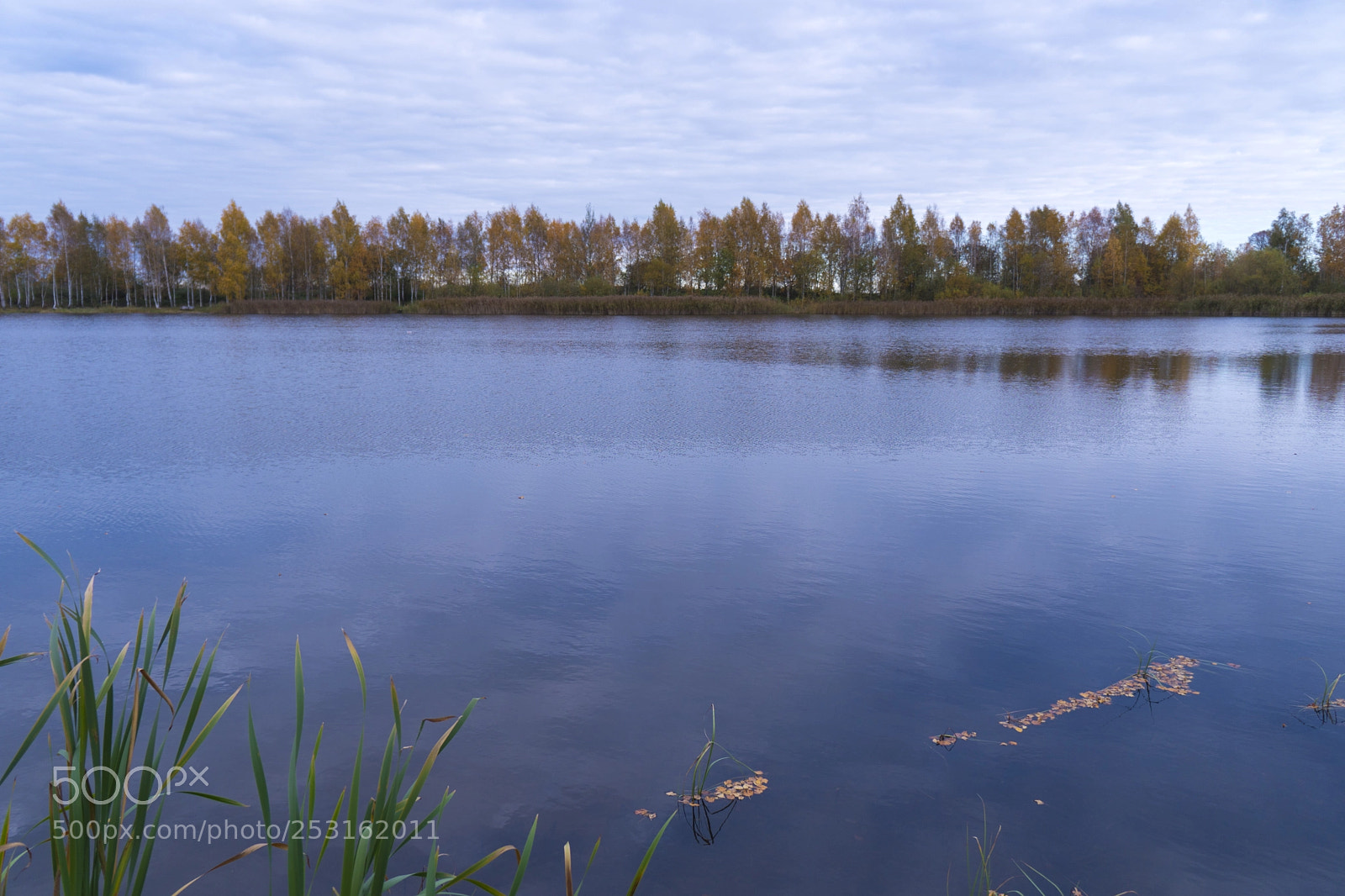 Sony a6500 sample photo. РЫБАЛКА photography