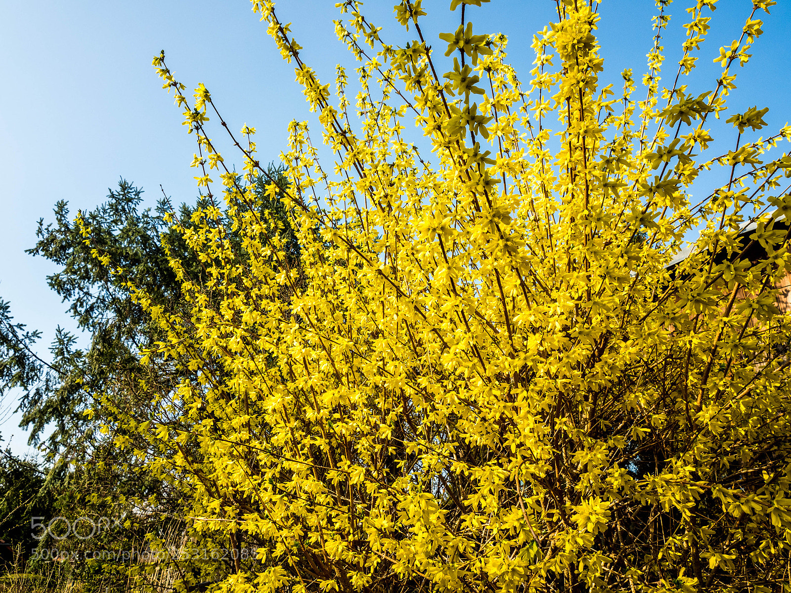 Olympus OM-D E-M5 II sample photo. Olympus digital camera photography