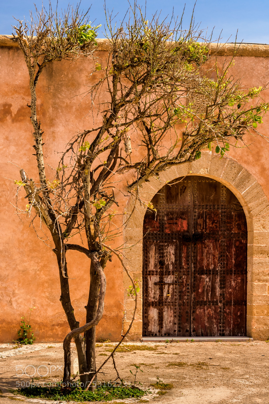 Nikon D7200 sample photo. Rabat (4) photography