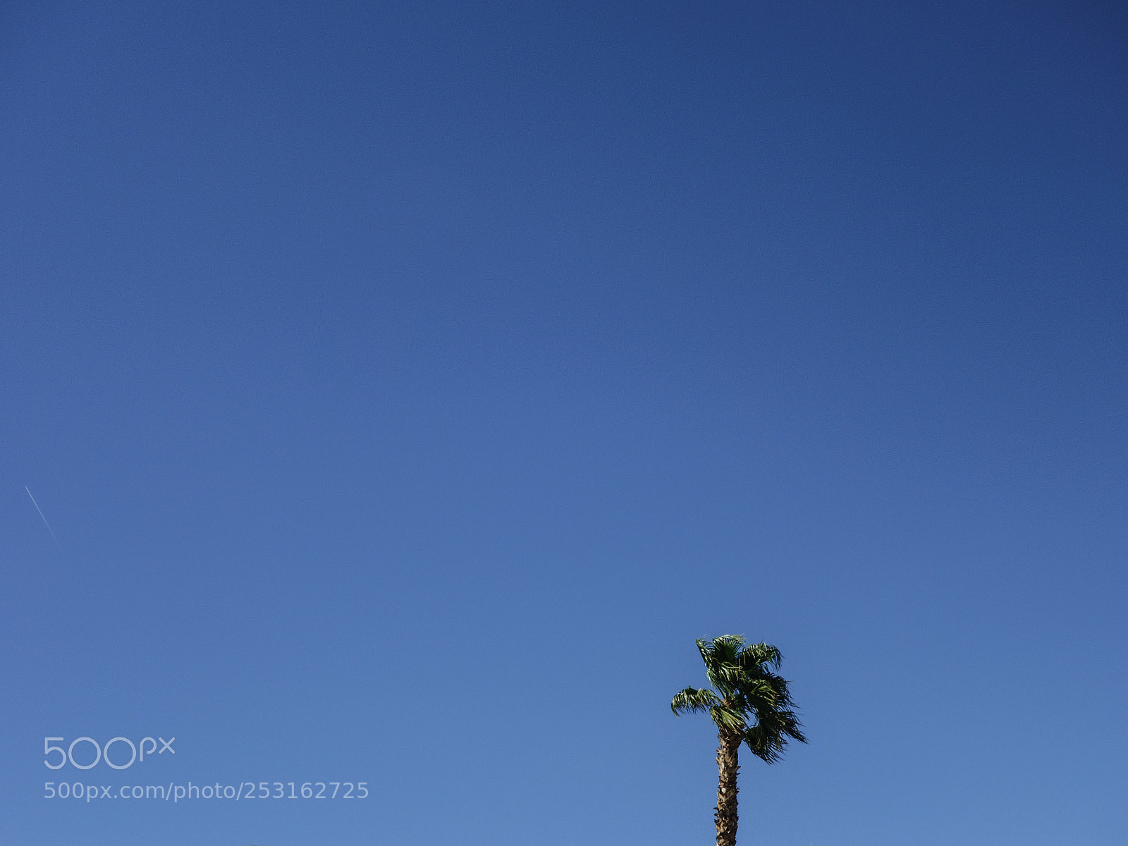 Sony Cyber-shot DSC-RX100 sample photo. Las vegas photography