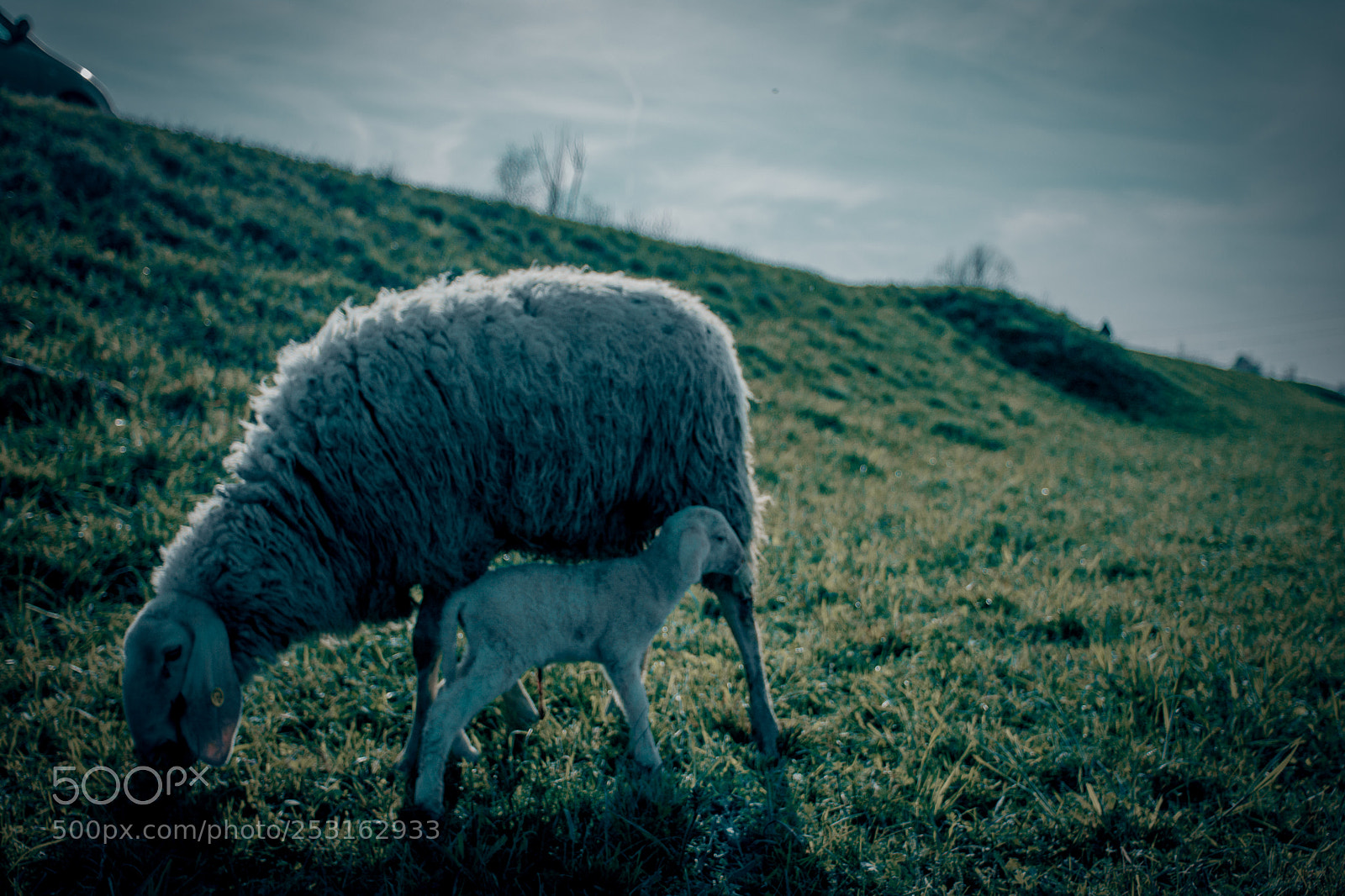 Nikon D7100 sample photo. Cronache di un giorno photography