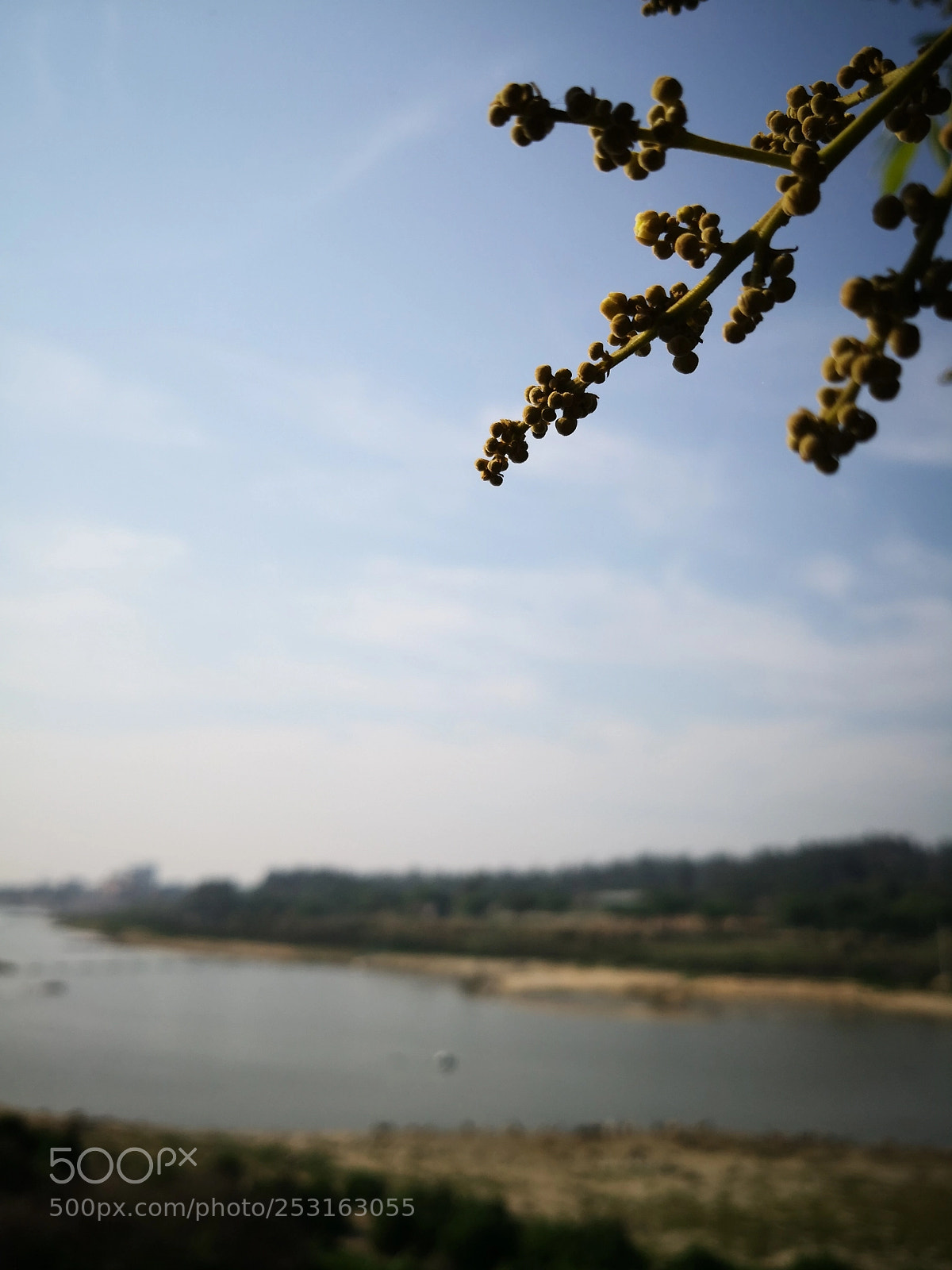 HUAWEI Mate 10 sample photo. Untitled photography