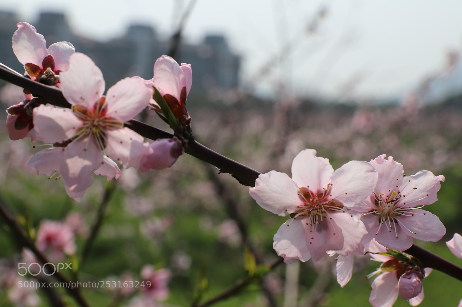 Canon EOS 77D (EOS 9000D / EOS 770D) sample photo. Untitled photography