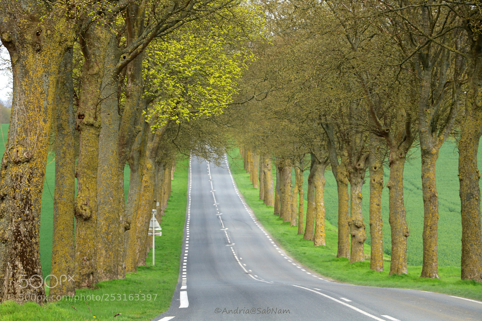 Canon EOS 750D (EOS Rebel T6i / EOS Kiss X8i) sample photo. On the road again......again photography
