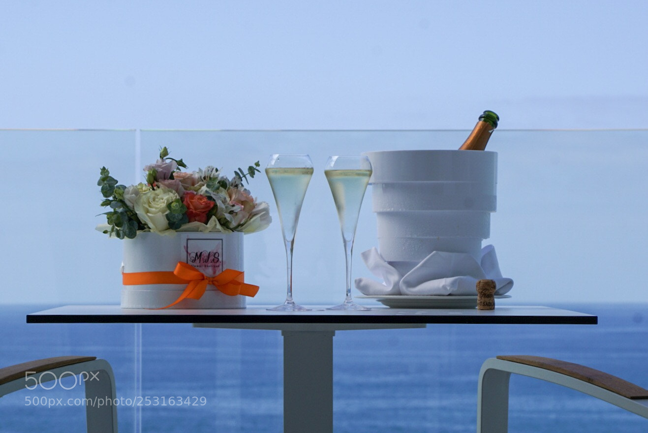 Sony ILCA-77M2 sample photo. Birthday photography