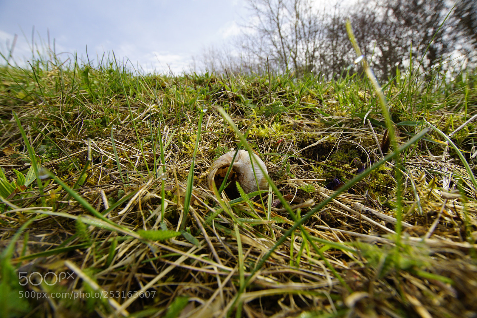 Sony ILCA-77M2 sample photo. Untitled photography