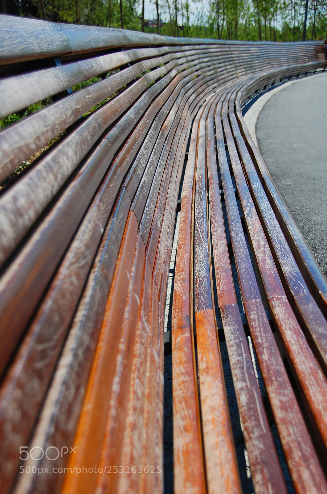 Nikon D40 sample photo. Profundidad de campo depth photography